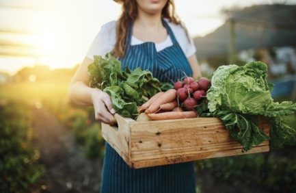 vegetables