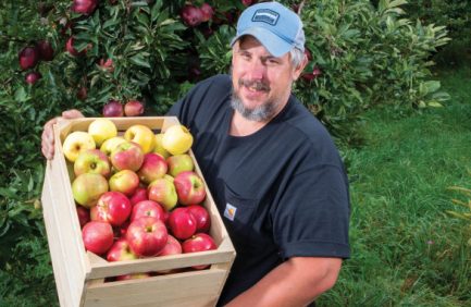Stroh Orchard in Angola, Indiana