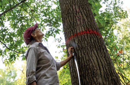 Pence Revington, Indiana Tree Farmer of the Year
