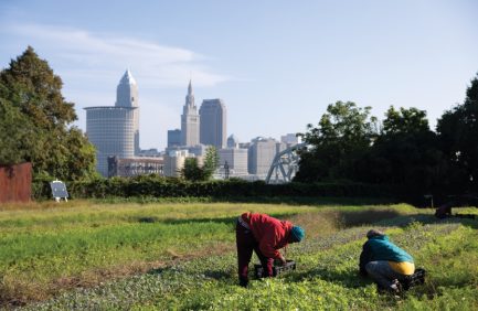 Ohio City Farm