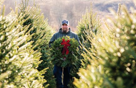 N.C. Cooperative Extension agent Brad Edwards