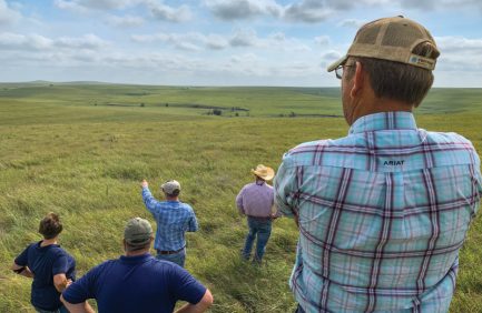 The Great Plains Grassland Initiative