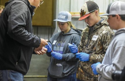 Ag Immersion Events with Innovative Livestock Services