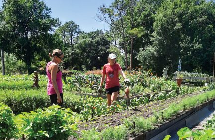 Shadowood Farm in Palm City, FL