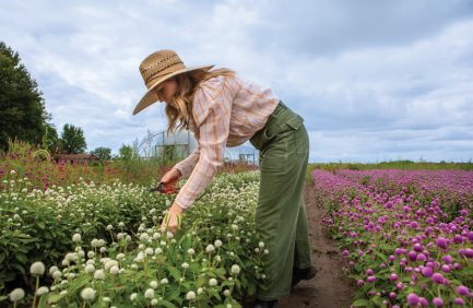 Katie Wachowiak harvests some cut flowers at Reinhardt Blooms