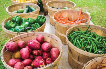 Baskets of fresh red potatoes, green peppers, green beans and orange carrots at a farmers market