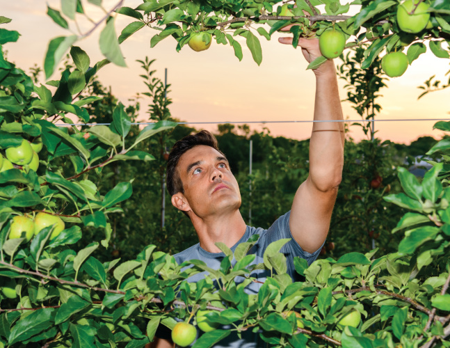 Hidden Gem Orchard owner Jim Wargo