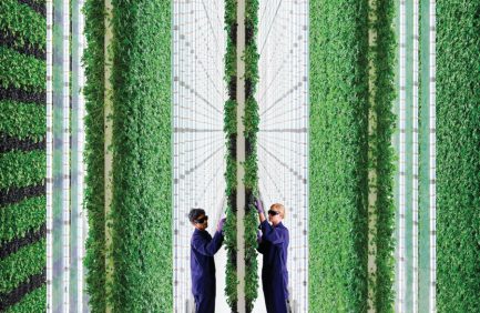 One of Plenty Unlimited's Controlled Environment Agriculture farms with two workers checking on plants