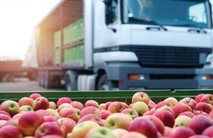Apples container for exporting