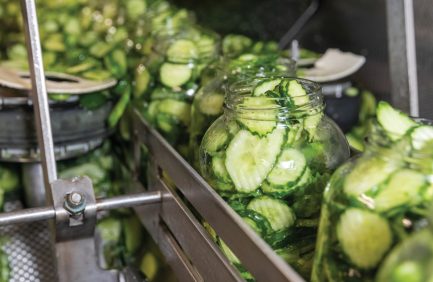 North Carolina cucumbers