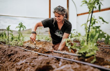 Mountain Roots Food Project