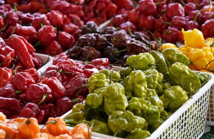 hot peppers