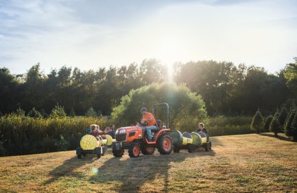 Dull's Tree Farm works to improve Indiana soil conservation