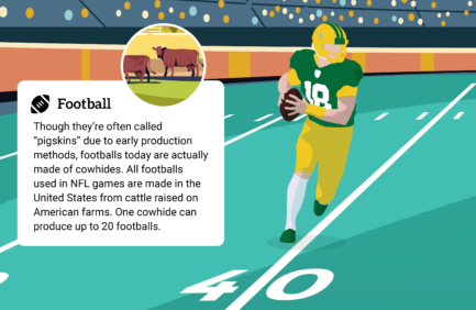 football infographic cover