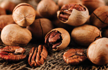 River Road Pecans