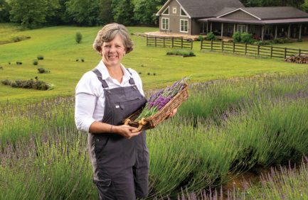 Jeannie Miller grows nine varieties of lavender at Midfield Lavender Farm in Bulls Gap