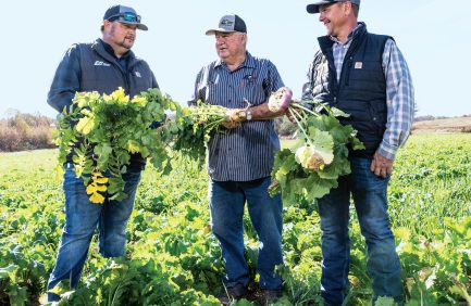 Essary and Cherry Farms in Milledgeville is a family farm operated by Ricky Essary, middle, with his son Kevin, left, and his son-in-law Jason Cherry