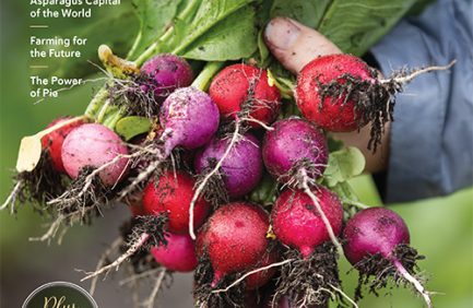 Michigan Agriculture 2024 cover