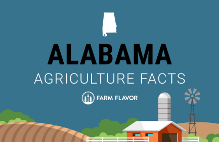 2024 Census of Ag Thumbnail Alabama - Farm Flavor