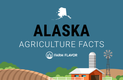 2024 Census of Ag Thumbnail Alaska - Farm Flavor