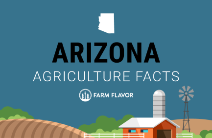 2024 Census of Ag Thumbnail Arizona - Farm Flavor