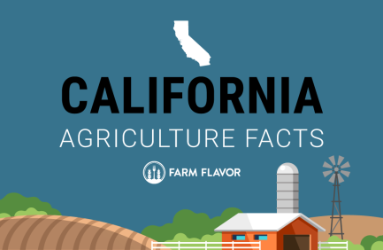 2024 Census of Ag Thumbnail California - Farm Flavor