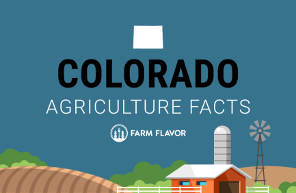 2024 Census of Ag Thumbnail Colorado - Farm Flavor