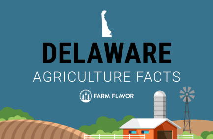 2024 Census of Ag Thumbnail Delaware - Farm Flavor