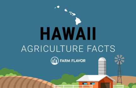 2024 Census of Ag Thumbnail Hawaii - Farm Flavor