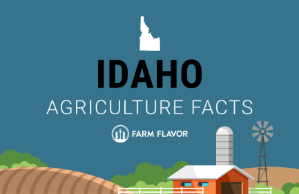 2024 Census of Ag Thumbnail Idaho - Farm Flavor