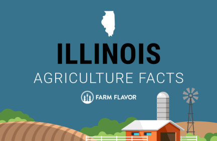 2024 Census of Ag Thumbnail Illinois - Farm Flavor