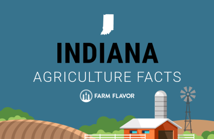 2024 Census of Ag Thumbnail Indiana - Farm Flavor