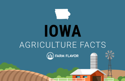 2024 Census of Ag Thumbnail Iowa - Farm Flavor