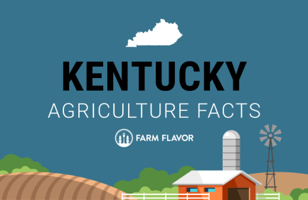 2024 Census of Ag Thumbnail Kentucky - Farm Flavor
