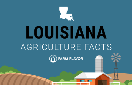 2024 Census of Ag Thumbnail Louisiana - Farm Flavor