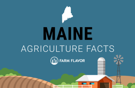 2024 Census of Ag Thumbnail Maine - Farm Flavor