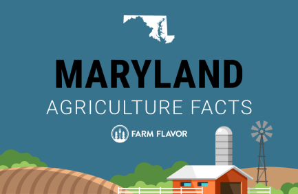 2024 Census of Ag Thumbnail Maryland - Farm Flavor