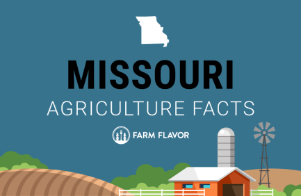 2024 Census of Ag Thumbnail Missouri - Farm Flavor