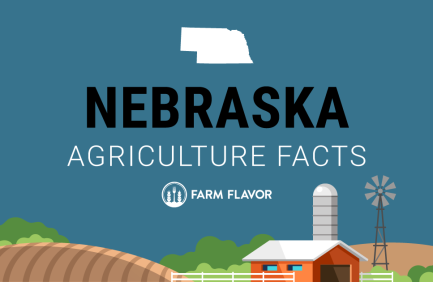 2024 Census of Ag Thumbnail Nebraska - Farm Flavor