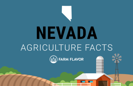 2024 Census of Ag Thumbnail Nevada - Farm Flavor
