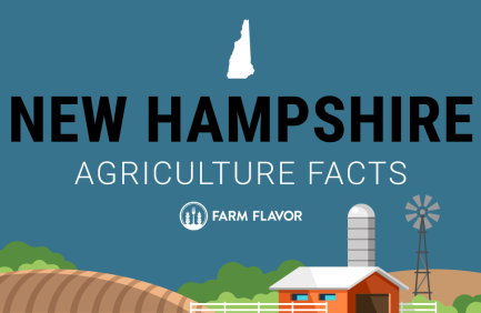 2024 Census of Ag Thumbnail New Hampshire - Farm Flavor