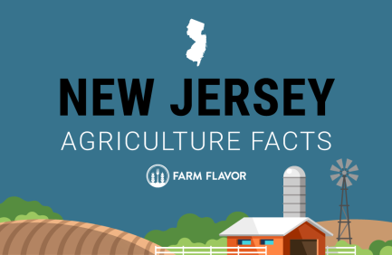 2024 Census of Ag Thumbnail New Jersey - Farm Flavor
