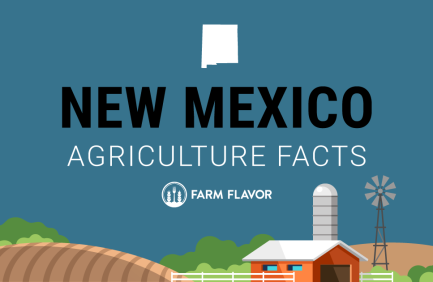 2024 Census of Ag Thumbnail New Mexico - Farm Flavor