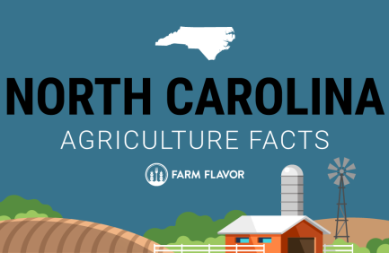2024 Census of Ag Thumbnail North Carolina - Farm Flavor