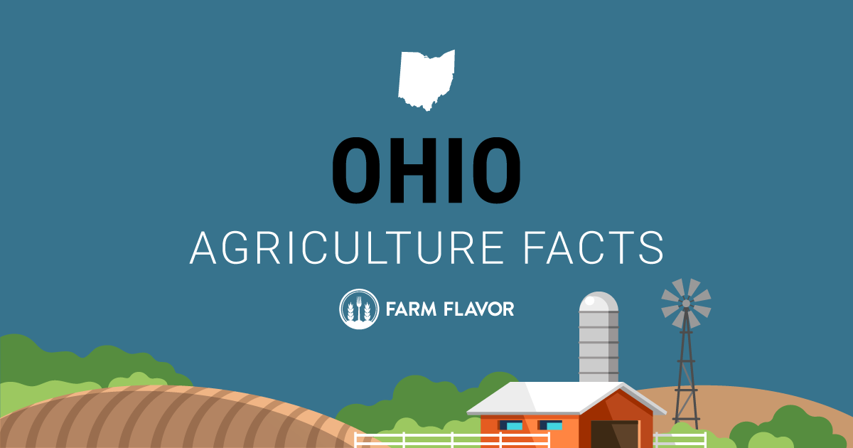 2024 Census of Ag Thumbnail Ohio - Farm Flavor