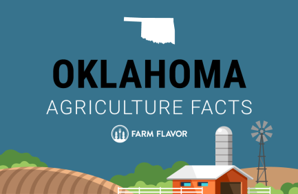 2024 Census of Ag Thumbnail Oklahoma - Farm Flavor