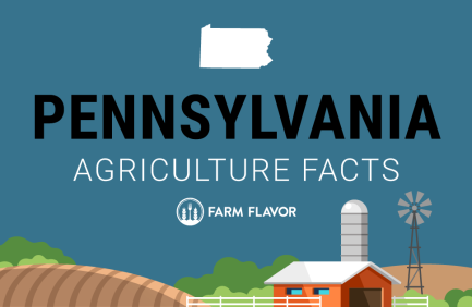 2024 Census of Ag Thumbnail Pennsylvania - Farm Flavor