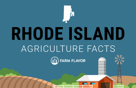 2024 Census of Ag Thumbnail Rhode Island - Farm Flavor