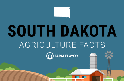2024 Census of Ag Thumbnail South Dakota - Farm Flavor