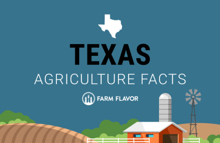 2024 Census of Ag Thumbnail Texas - Farm Flavor
